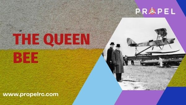 History of Drones the queen bee