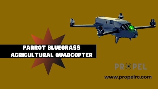 Best Parrot Drones