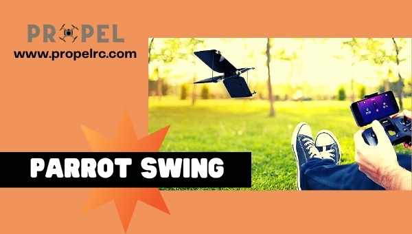 Best Parrot Drones
