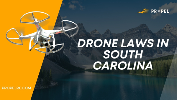 Leggi sui droni in South Carolina