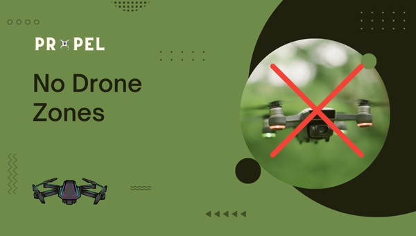 Leyes sobre drones en Luisiana