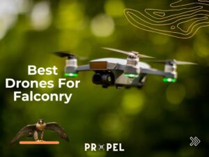 Drones pour la fauconnerie