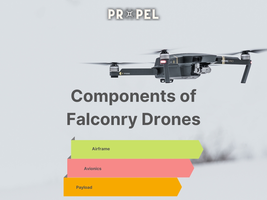 Drohnen für die Falknerei