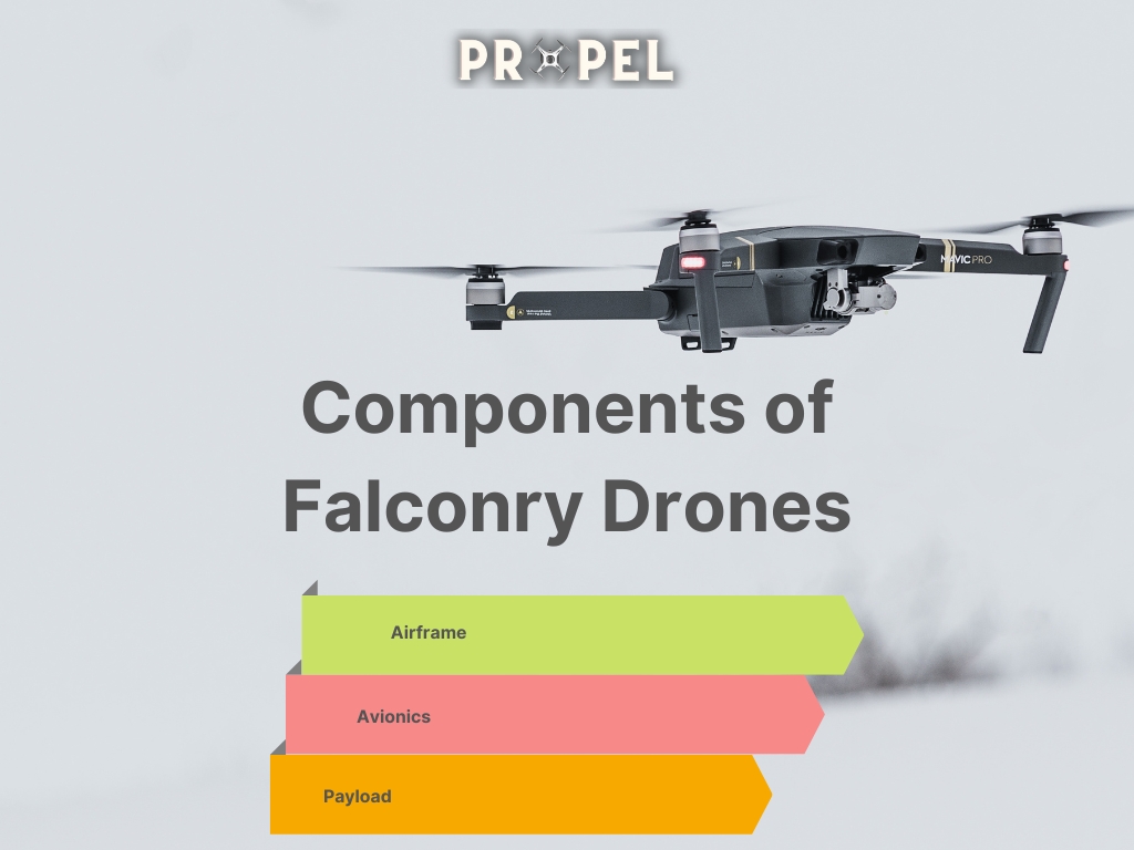 Drones For Falconry