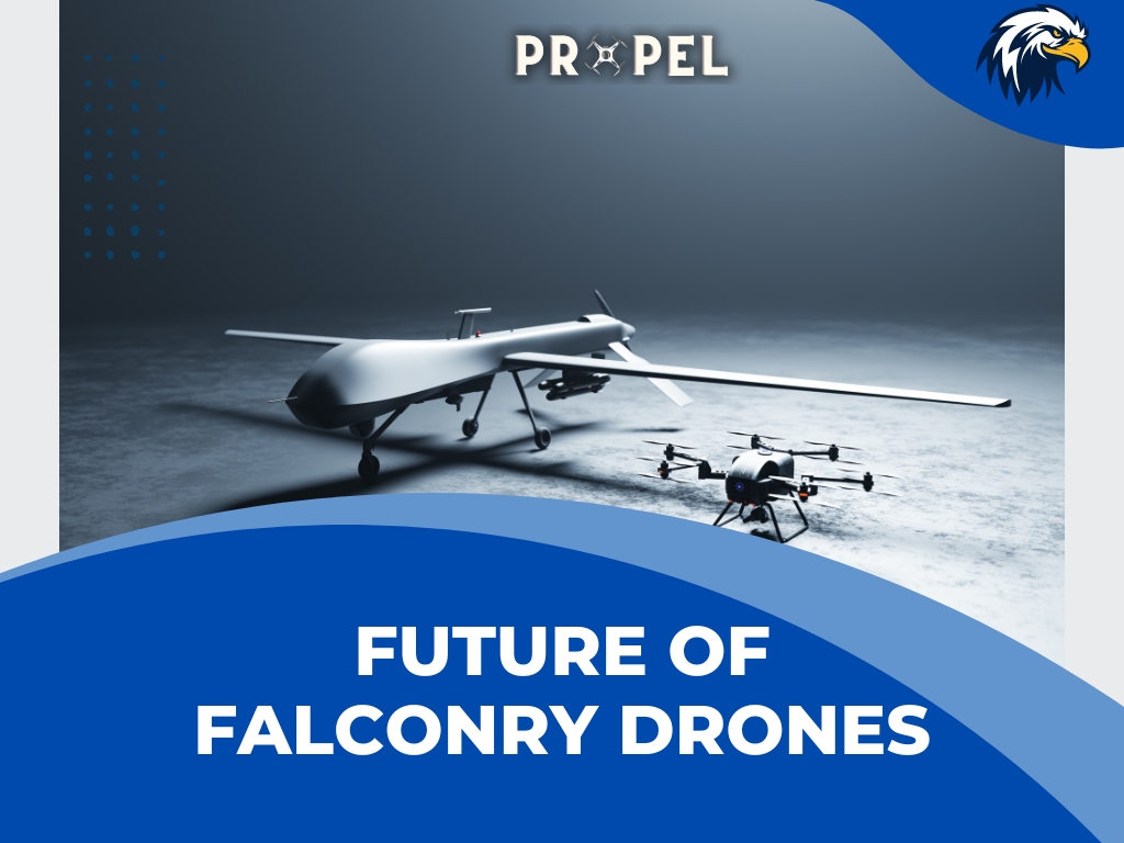 drones para falcoaria