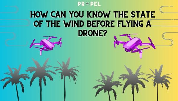 Wie können Sie den Zustand des Windes kennen, bevor Sie eine Drohne fliegen?