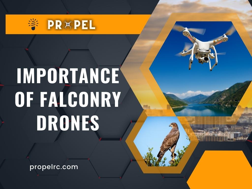 drones para falcoaria