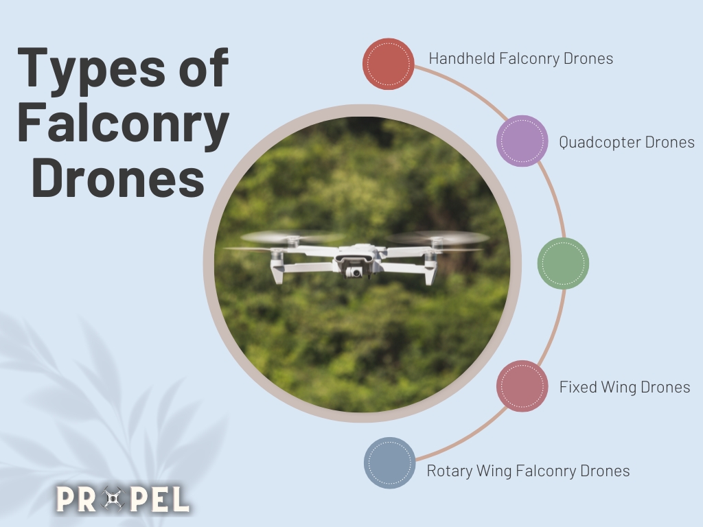 Drones pour la fauconnerie