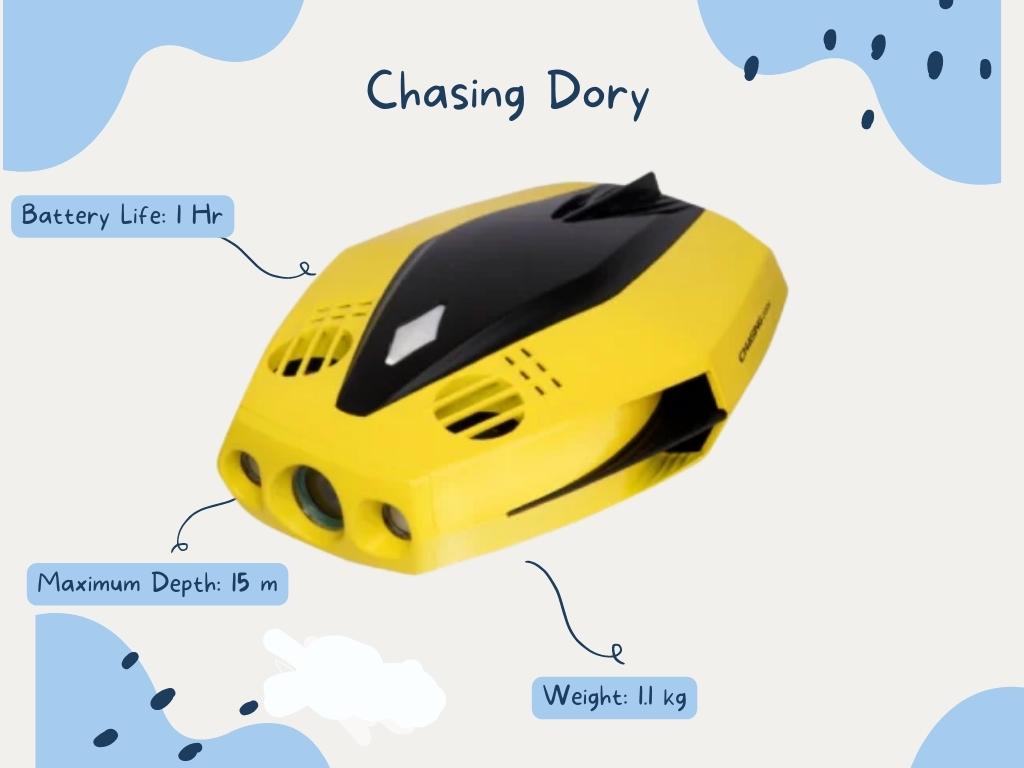 Melhores drones subaquáticos - Chasing Dory