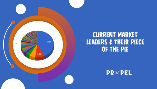 Consumer Drone Stats: Current Market Leaders & Their Piece of The Pie