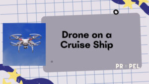 Posso portare un drone su una nave da crociera?