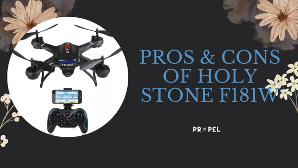 Pro e contro di Holy Stone F181W