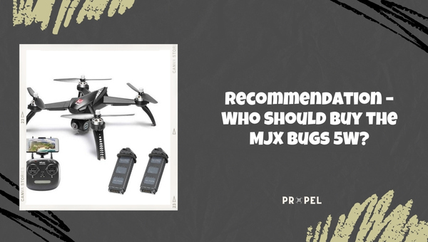 Who Should Buy the MJX Bugs 5W?
