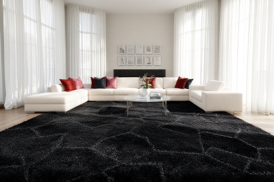 bold contrast for decor