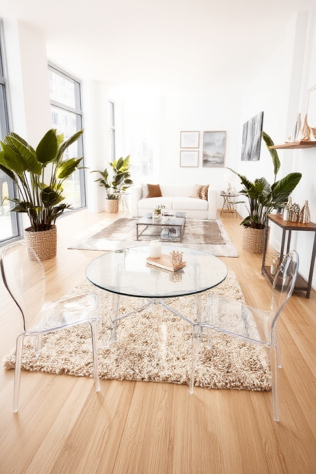 clear furniture maximizes space