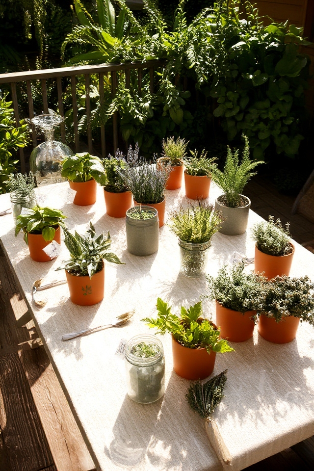 interactive alfresco herb centerpieces