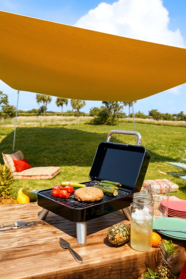 versatile outdoor grilling solution