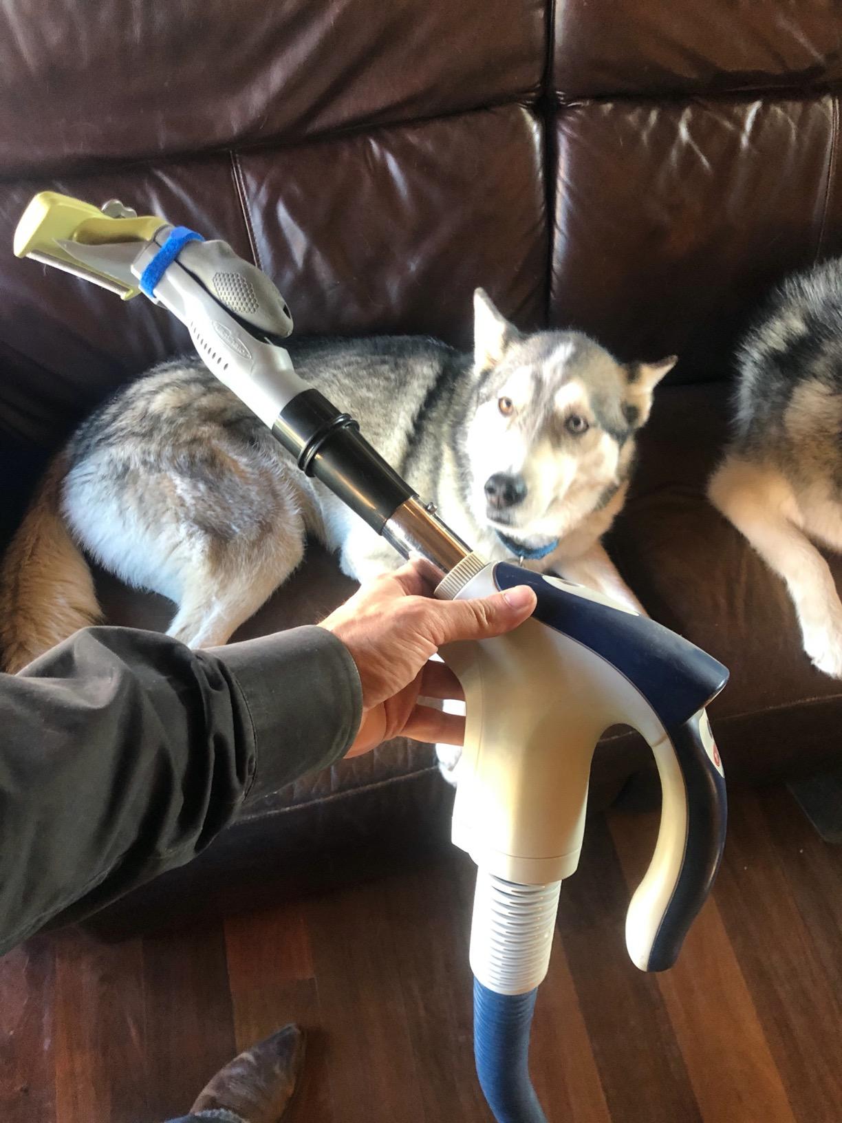 FURminator FurVac Dog Hair Vacuum Accessory, Black - Customer Photo 2
