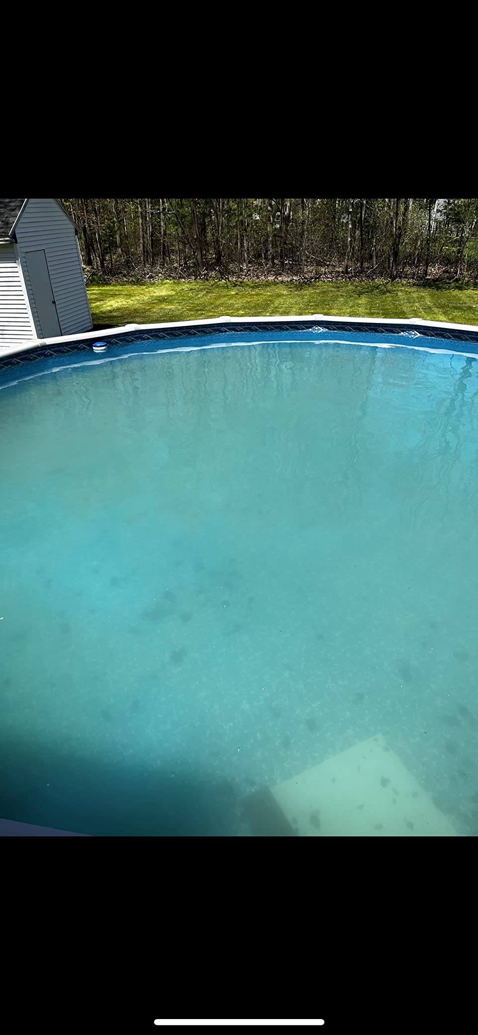Poolmaster Air-Relief Valve Weighted Vinyl Liner Swimming Pool Vacuum Customer Review Poolmaster Air-Relief Valve Weighted Vinyl Liner Swimming Pool Vacuum - Customer Photo 1