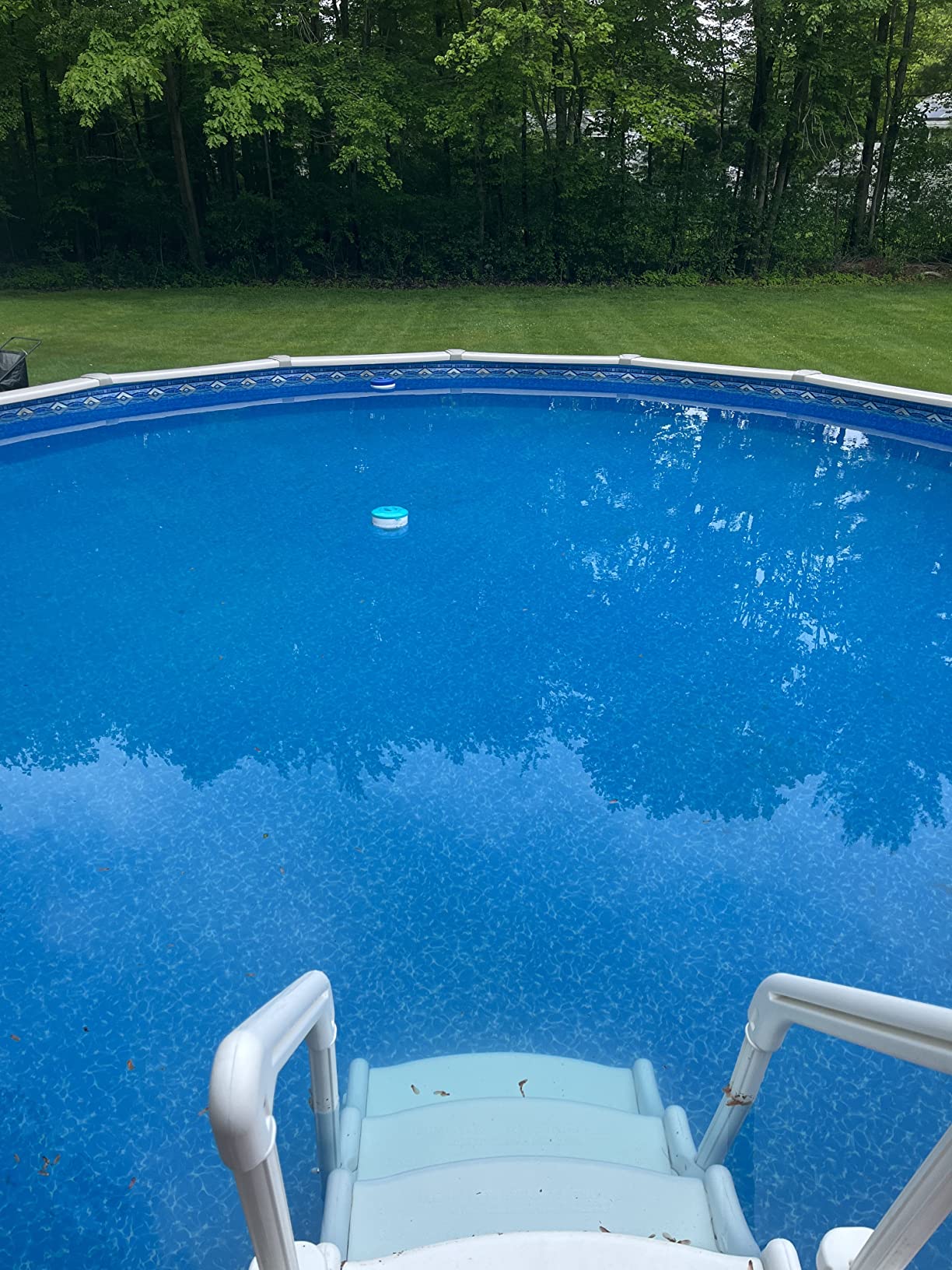 Poolmaster Air-Relief Valve Weighted Vinyl Liner Swimming Pool Vacuum Customer Review Poolmaster Air-Relief Valve Weighted Vinyl Liner Swimming Pool Vacuum - Customer Photo 2