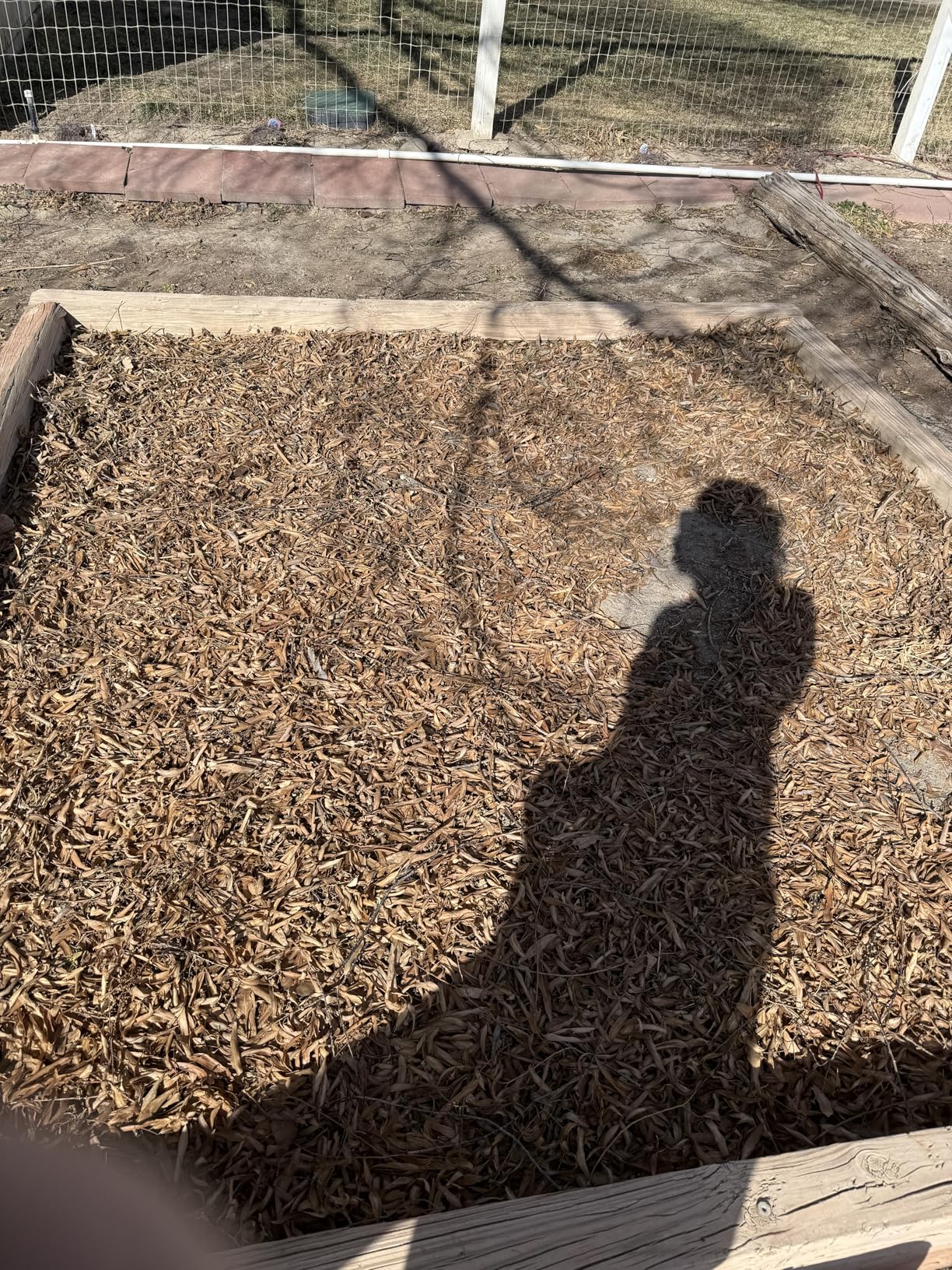 BLACK+DECKER Leaf Blower, Vacuum and Leaf Mulcher 3-in-1, Electric Blowers for lawn Care, 12 Amp, 250 MPH, 400 CFM (BV6000) - Customer Photo 2