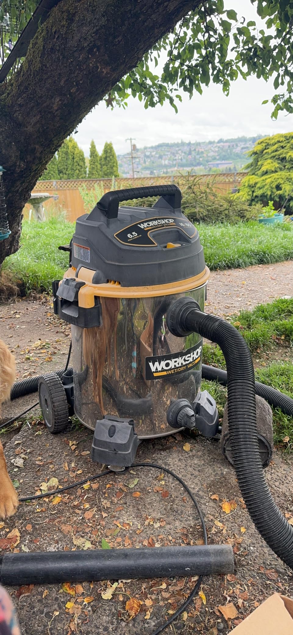 WORKSHOP Wet/Dry Vacs Shop Vacuum WS1600SS 16-Gallon 6.5 Peak HP Stainless Steel Wet Dry Vacuum Cleaner with Filter, Dust Bag, Hose, Attachments and Cart for Heavy Duty Professional Cleaning Customer Review WORKSHOP Wet/Dry Vacs Shop Vacuum WS1600SS 16-Gallon 6.5 Peak HP Stainless Steel Wet Dry Vacuum Cleaner with Filter, Dust Bag, Hose, Attachments and Cart for Heavy Duty Professional Cleaning - Customer Photo 1