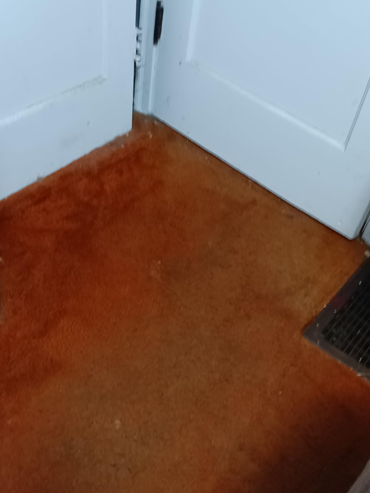 BLACK+DECKER Carpet Sweeper 50 Minute Lithium Floor Sweeper, Multi-Surface Use, Easy One Hand Cleaning, Self Standing, Charger Included (HFS115J10) Customer Review BLACK+DECKER Carpet Sweeper 50 Minute Lithium Floor Sweeper, Multi-Surface Use, Easy One Hand Cleaning, Self Standing, Charger Included (HFS115J10) - Customer Photo 1