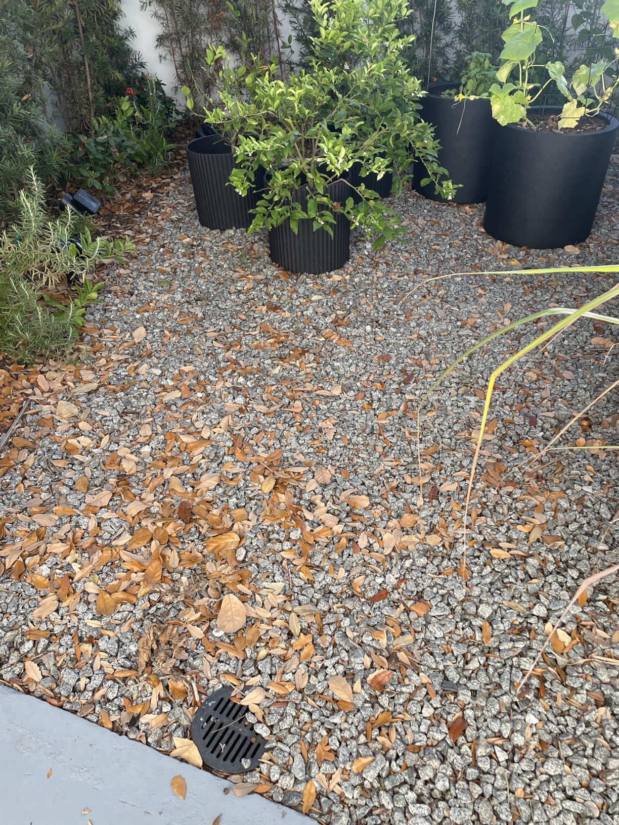 BLACK+DECKER Electric Leaf Blower, Leaf Vacuum and Mulcher 3 in 1, Backpack Blowers for Lawn Care,250 mph Airflow, 400 cfm Delivery Power, Reusable Bag Included, Corded (BEBL7000) - Customer Photo 1