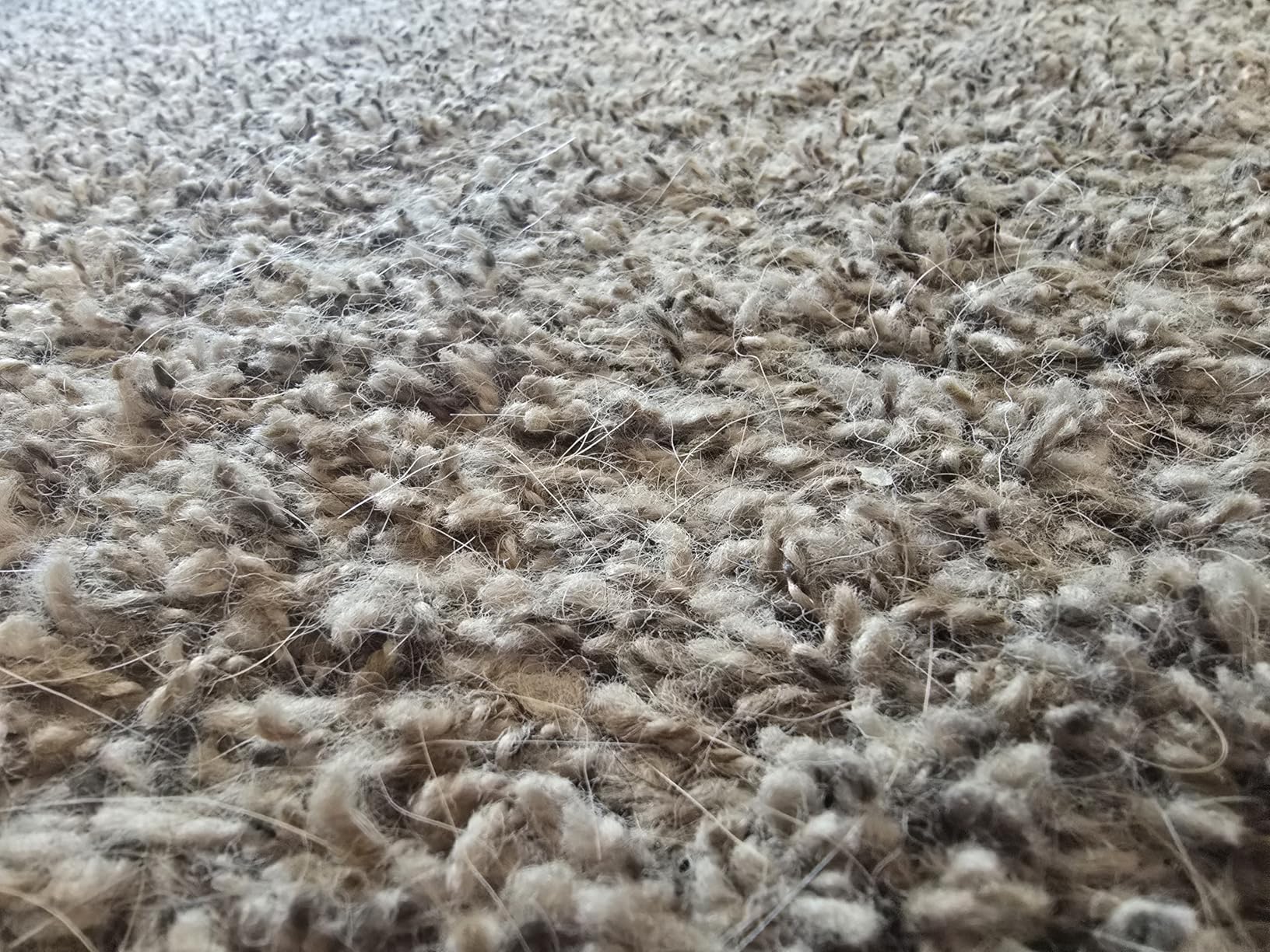 BISSELL 2252 CleanView Swivel Upright Pet Vacuum Customer Review BISSELL 2252 CleanView Swivel Upright Pet Vacuum - Customer Photo 1