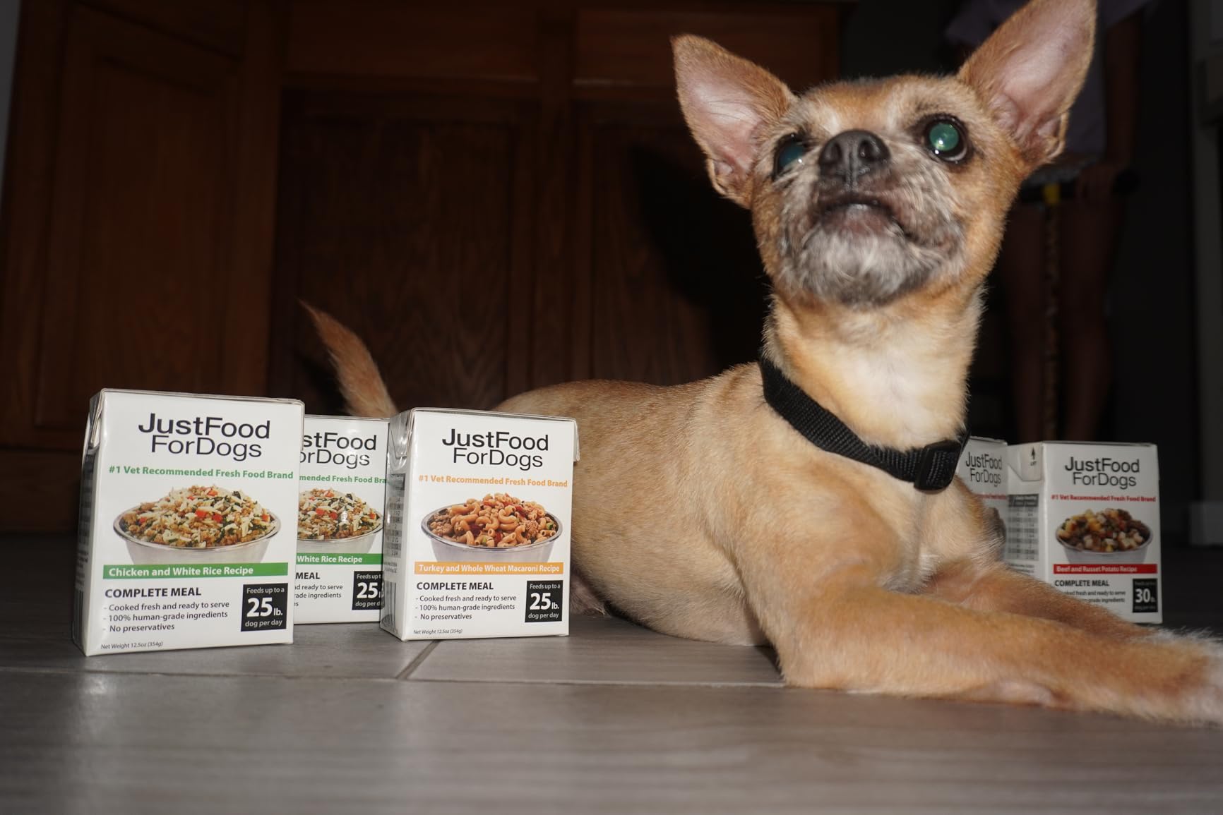 JustFoodForDogs Pantry Fresh Wet Dog Food, Complete Meal or Topper, Chicken & White Rice Human Grade Recipe - 12.5 oz (Pack of 6) - Customer Photo 1