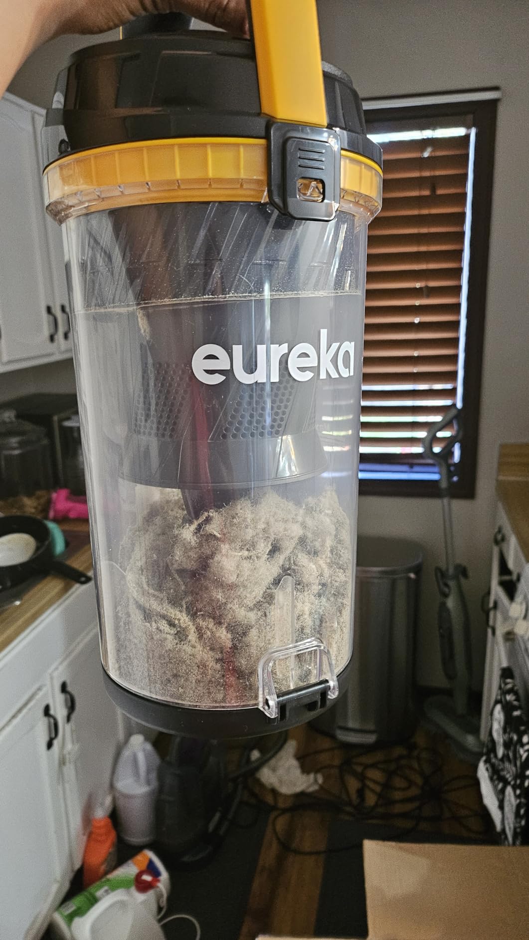 Eureka Powerful Lightweight Upright Vacuum Carpet and Floor, PowerSpeed NEU202 with Automatic Cord Rewind, Purple - Customer Photo 1