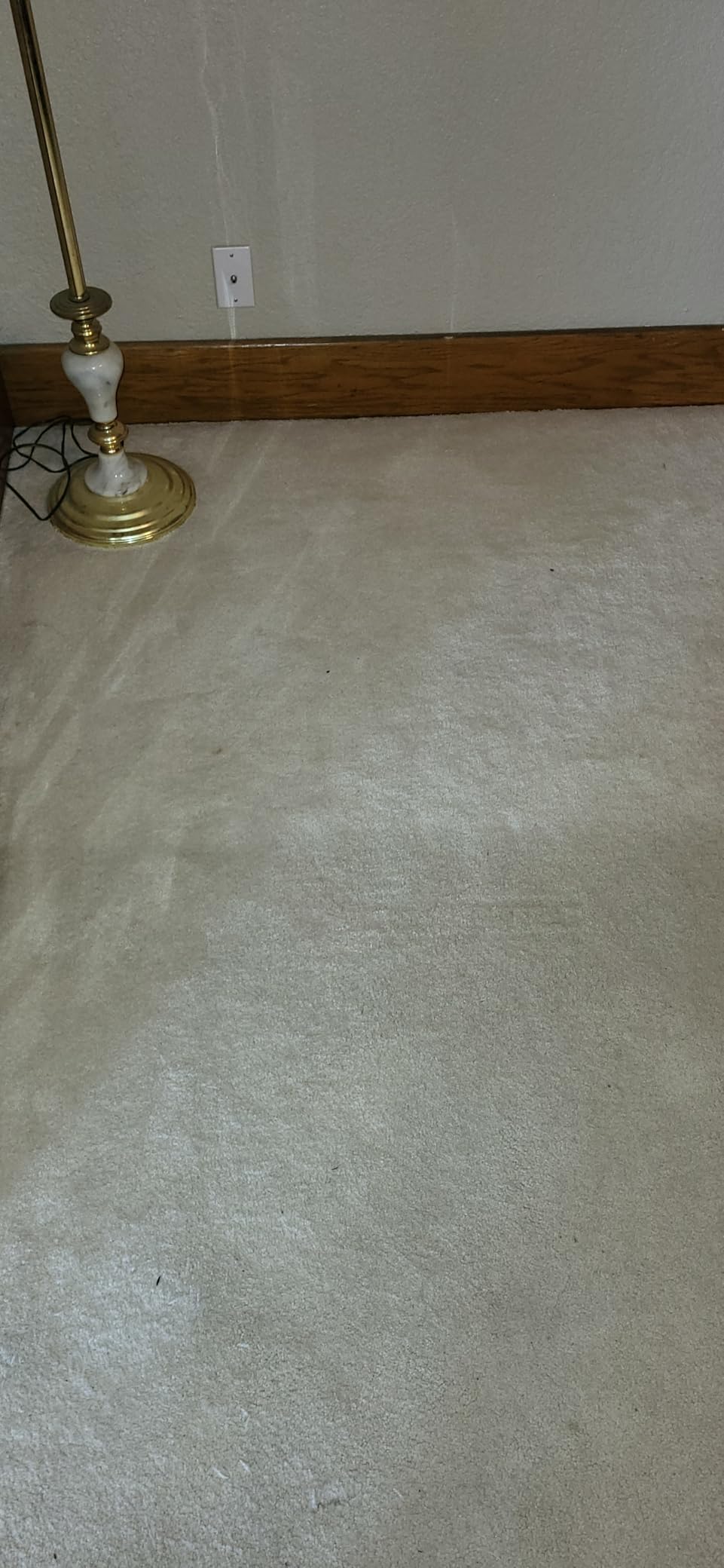 Shark Navigator Zero-M ZU62 Self-Cleaning Brushroll Pet Pro Upright Vacuum - Customer Photo 1