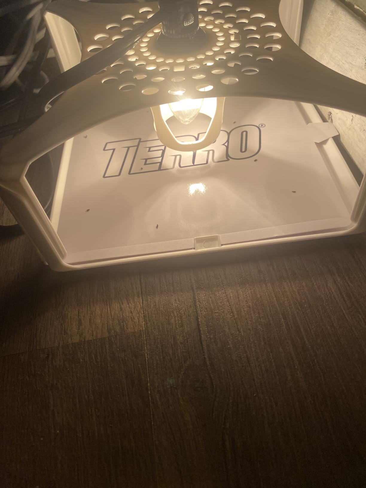 Terro T230 Indoor Electric Flea Trap and Killer - Refillable Flea Traps for Inside Your Home Customer Review Terro T230 Indoor Electric Flea Trap and Killer - Refillable Flea Traps for Inside Your Home - Customer Photo 2