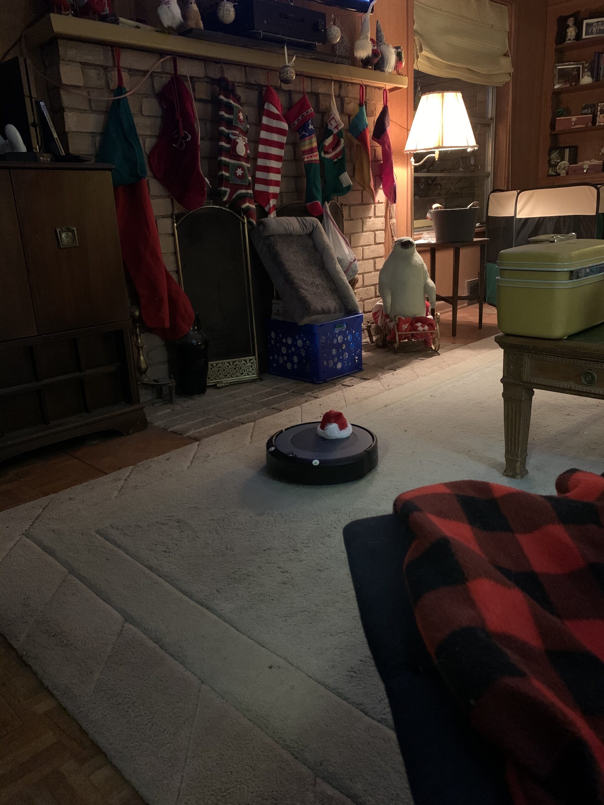 iRobot Roomba i3+ EVO (3550) Self-Emptying Robot Vacuum – Now Clean by Room with Smart Mapping, Empties Itself for Up to 60 Days, Works with Alexa, Ideal for Pet Hair, Carpets​, Roomba i3+ - Customer Photo 1