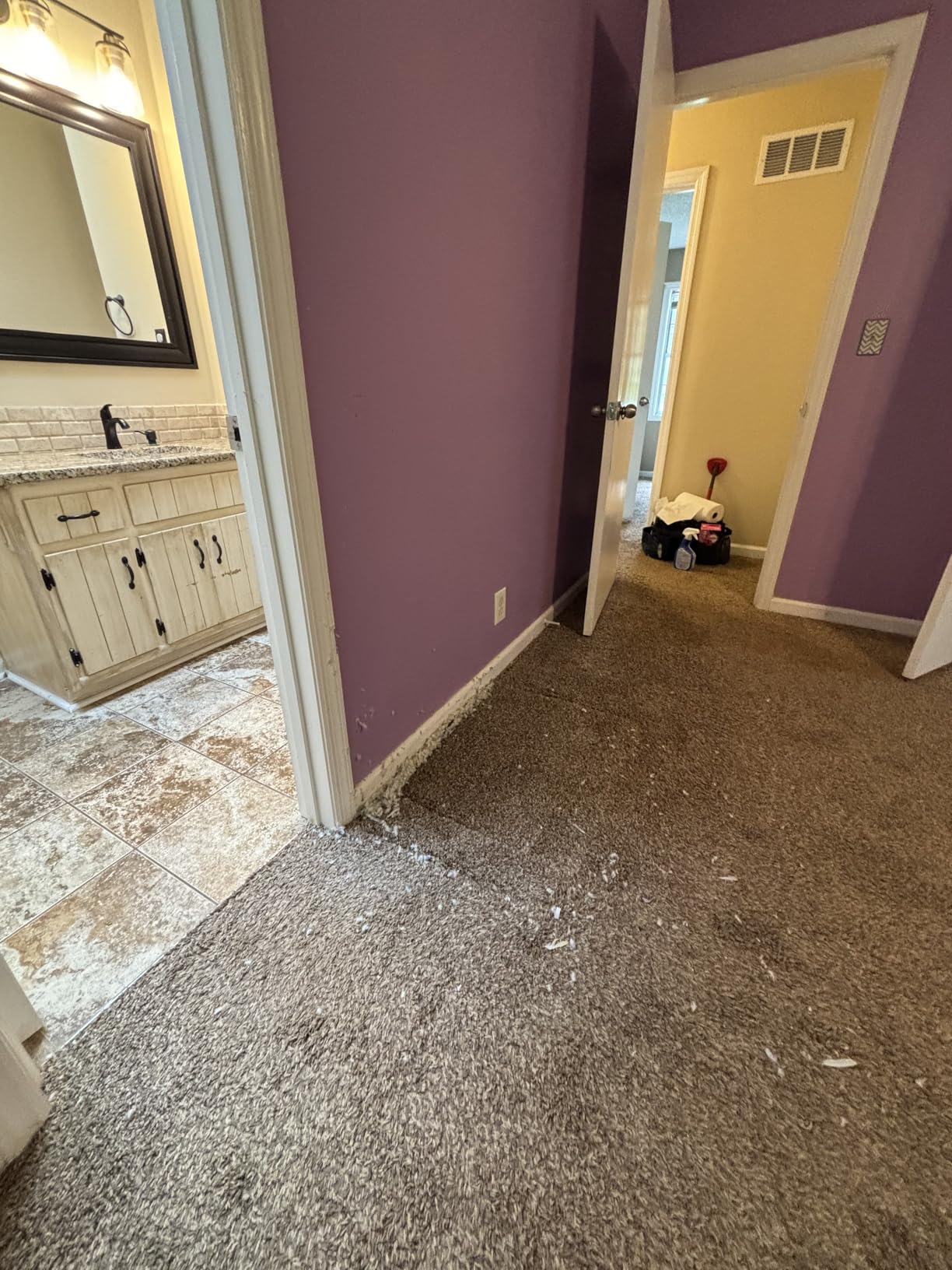 BISSELL CleanView Upright Bagless Vacuum Cleaner with Active Wand, 3536 Customer Review BISSELL CleanView Upright Bagless Vacuum Cleaner with Active Wand, 3536 - Customer Photo 1