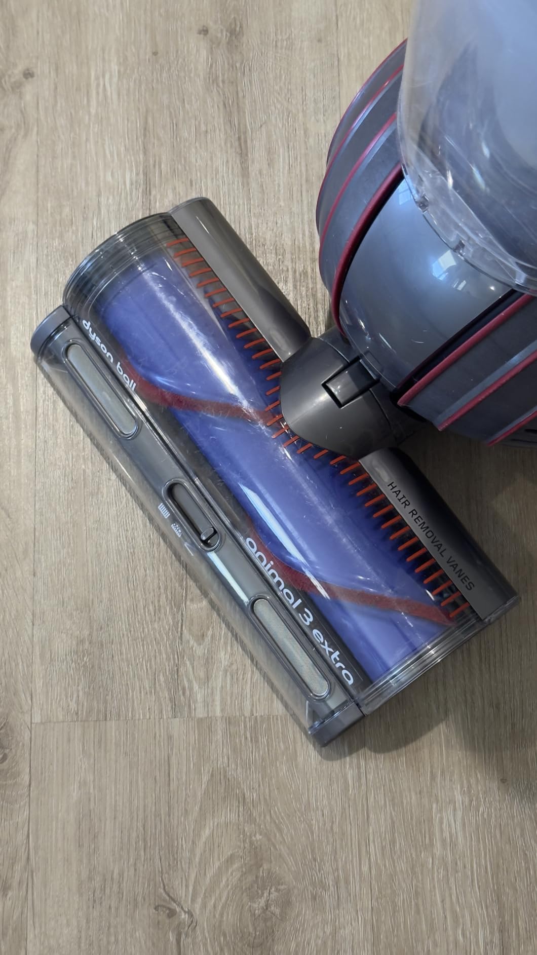 Dyson Ball Animal 3 Extra Upright Vacuum, Corded, 290AW, De-tangling Motorbar Cleaner Head for All Floors, 3 Suction Modes, Specialized pet Tools - Customer Photo 1