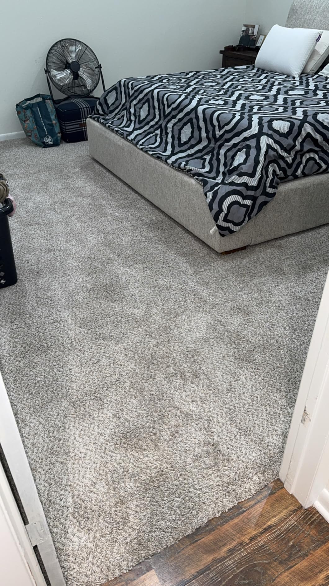 BISSELL ProHeat 2X Revolution Pet Pro Plus, 3588F, Upright Deep Cleaner, 30-minute Dry Time, Dual Dirt Lifter Powerbrush, Hose & Tool Attachment, Pet Upholstery and Tough Stain Tool Included - Customer Photo 1