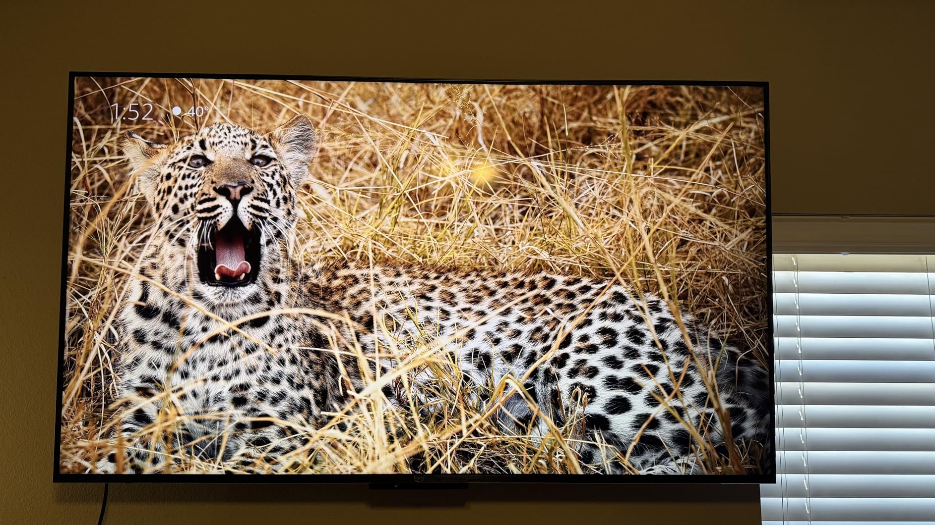 Amazon Fire TV 65