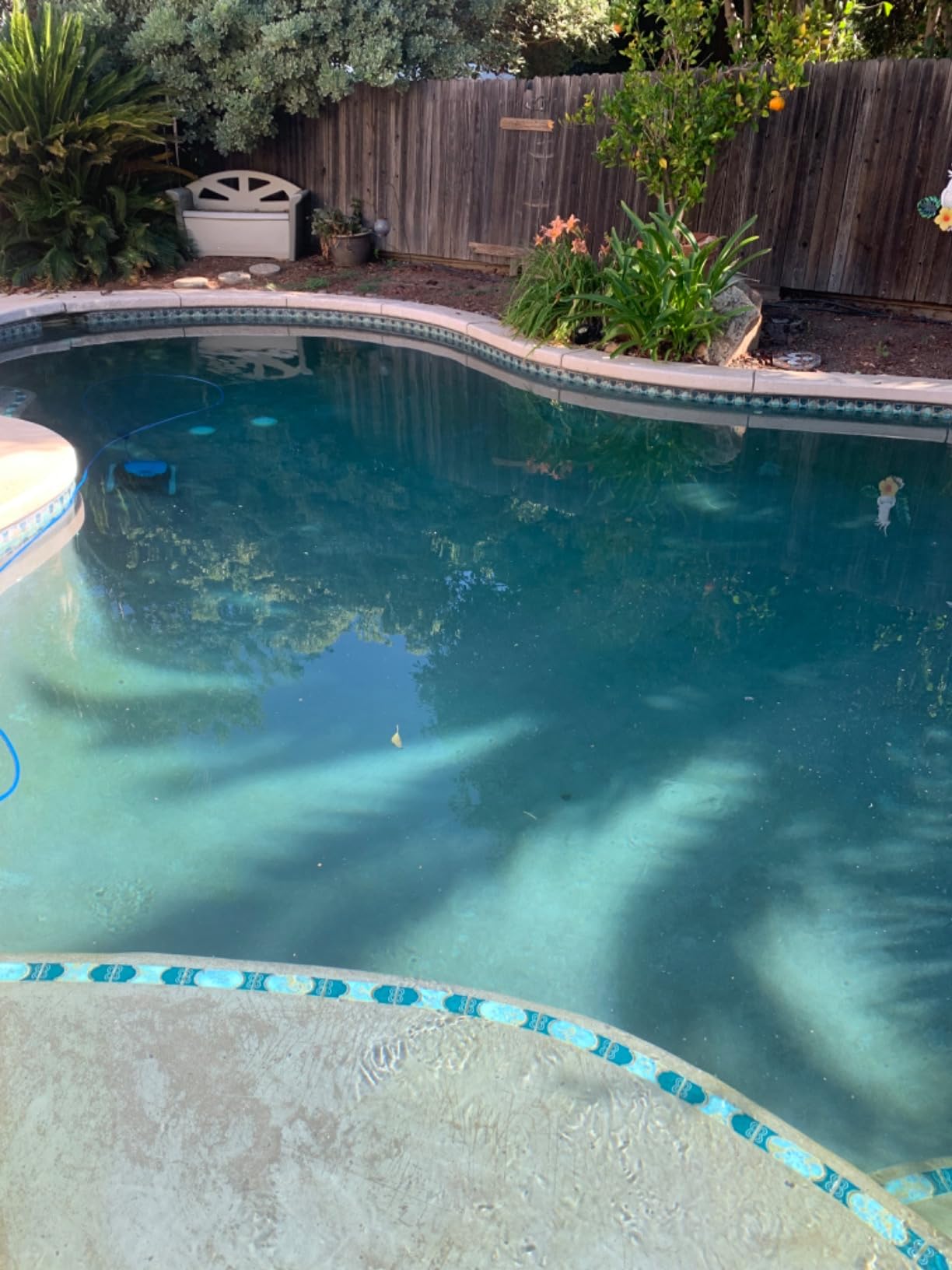 Dolphin Nautilus CC Plus Wi-Fi Robotic Pool Vacuum Cleaner Includes Ultra-Fine Filters for an Ultimate Clean, Ideal for In-Ground Pools up to 50 FT in Length Customer Review Dolphin Nautilus CC Plus Wi-Fi Robotic Pool Vacuum Cleaner Includes Ultra-Fine Filters for an Ultimate Clean, Ideal for In-Ground Pools up to 50 FT in Length - Customer Photo 2