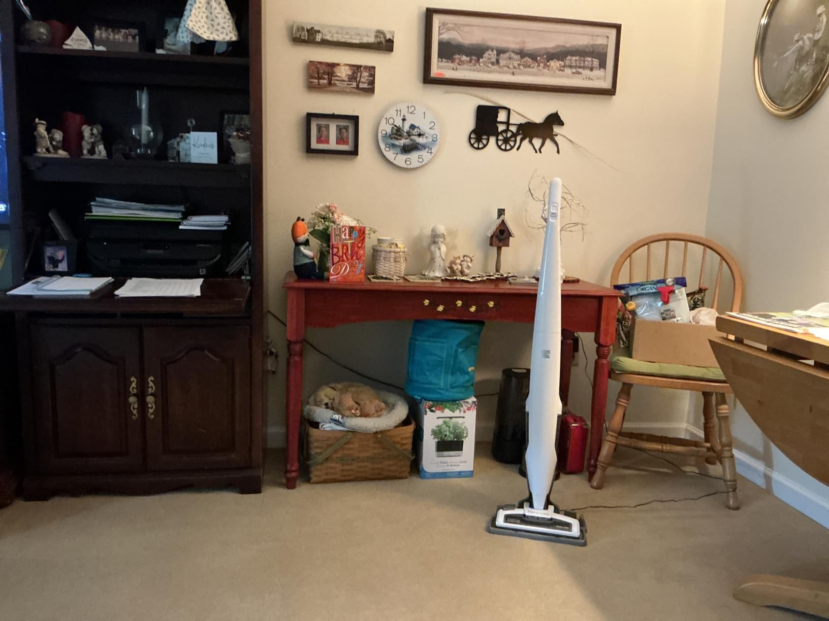 Kenmore DS1020 16V Cordless Stick Vacuum Lightweight 2-in-1 Handheld, LED Headlight with 2-Speed Power Control for Hardwood Floor, Carpet & Pet Hair, 16 Volts, Gray-Blue Customer Review Kenmore DS1020 16V Cordless Stick Vacuum Lightweight 2-in-1 Handheld, LED Headlight with 2-Speed Power Control for Hardwood Floor, Carpet & Pet Hair, 16 Volts, Gray-Blue - Customer Photo 2