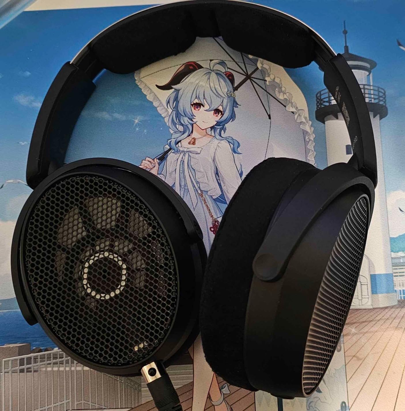 Sennheiser HD 490 PRO Open-Back Professional Headphone Customer Review Sennheiser HD 490 PRO Open-Back Professional Headphone - Customer Photo 1