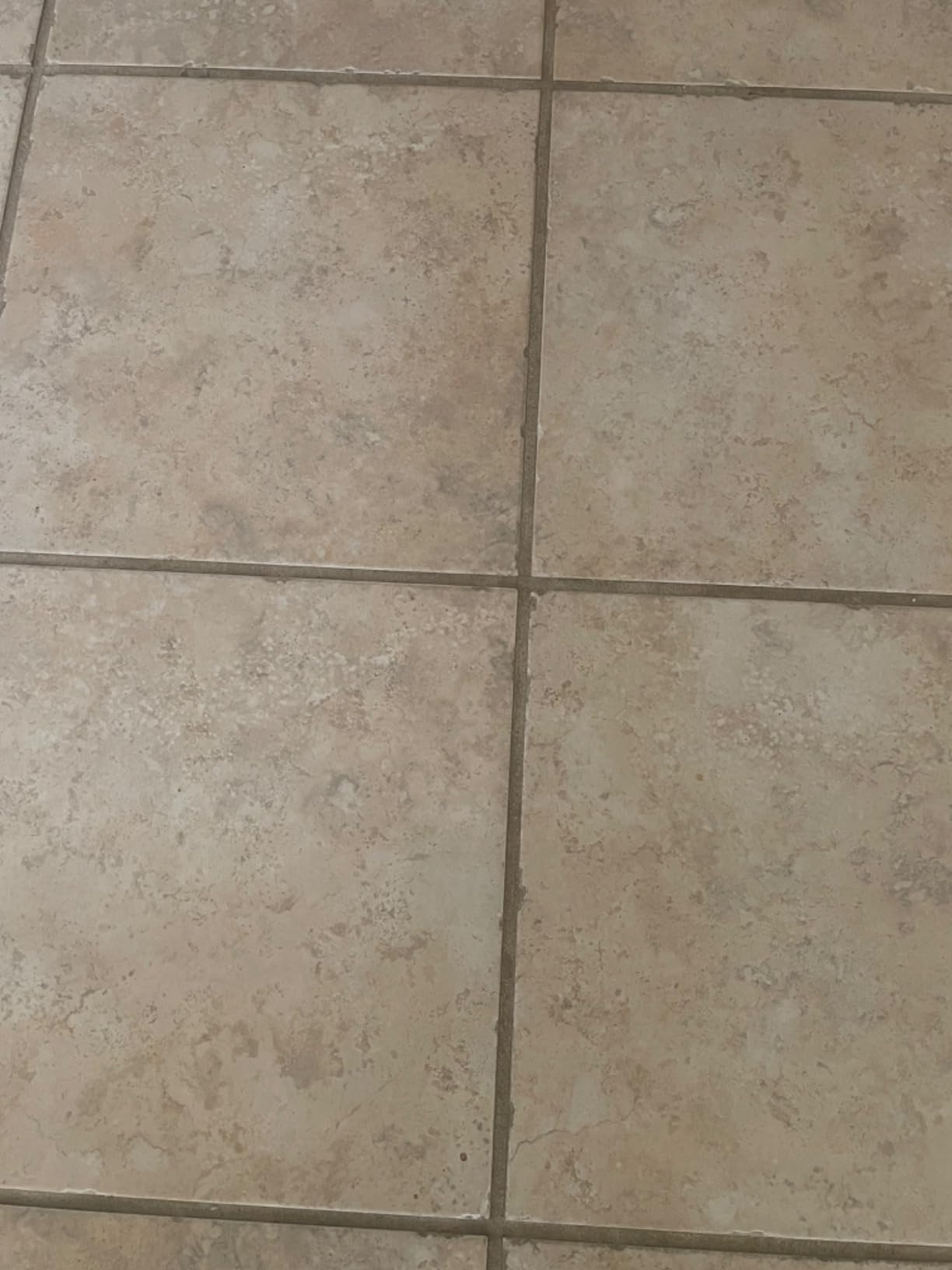 BISSELL® CrossWave® HydroSteam™ Deluxe Wet Dry Vac, Multi-Purpose Vacuum, Wash, and Steam, Formula Included, Green, 3515G Customer Review BISSELL® CrossWave® HydroSteam™ Deluxe Wet Dry Vac, Multi-Purpose Vacuum, Wash, and Steam, Formula Included, Green, 3515G - Customer Photo 1