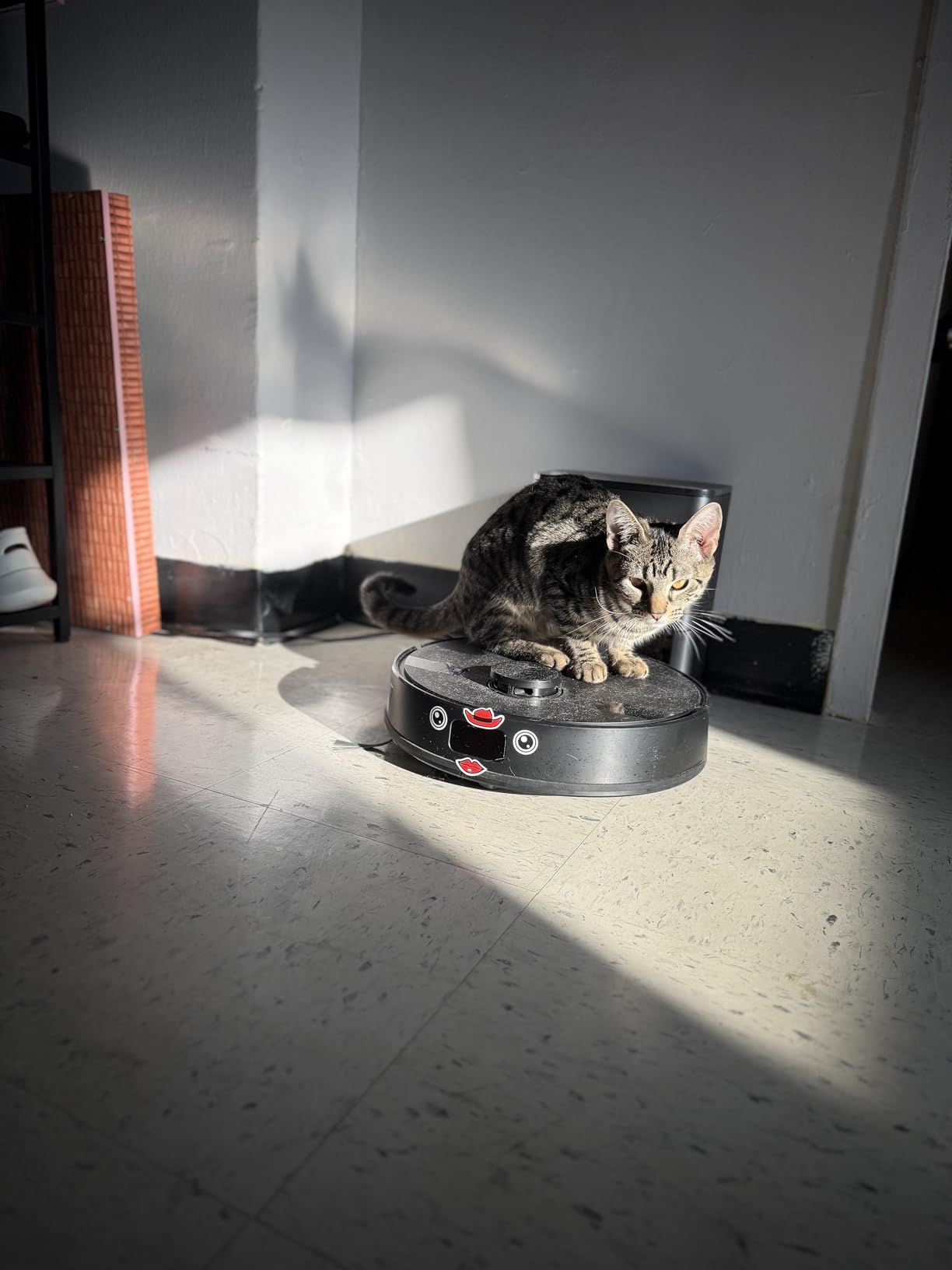 MONSGA Robot Vacuum and Mop Combo, 5000Pa Robotic Vacuum with 3.5L Self Emptying Station, Lidar Navigation Robot Vacuum Cleaner, 180mins Runtime, APP/Remote/Voice Control, for Hard Floors and Carpets - Customer Photo 2