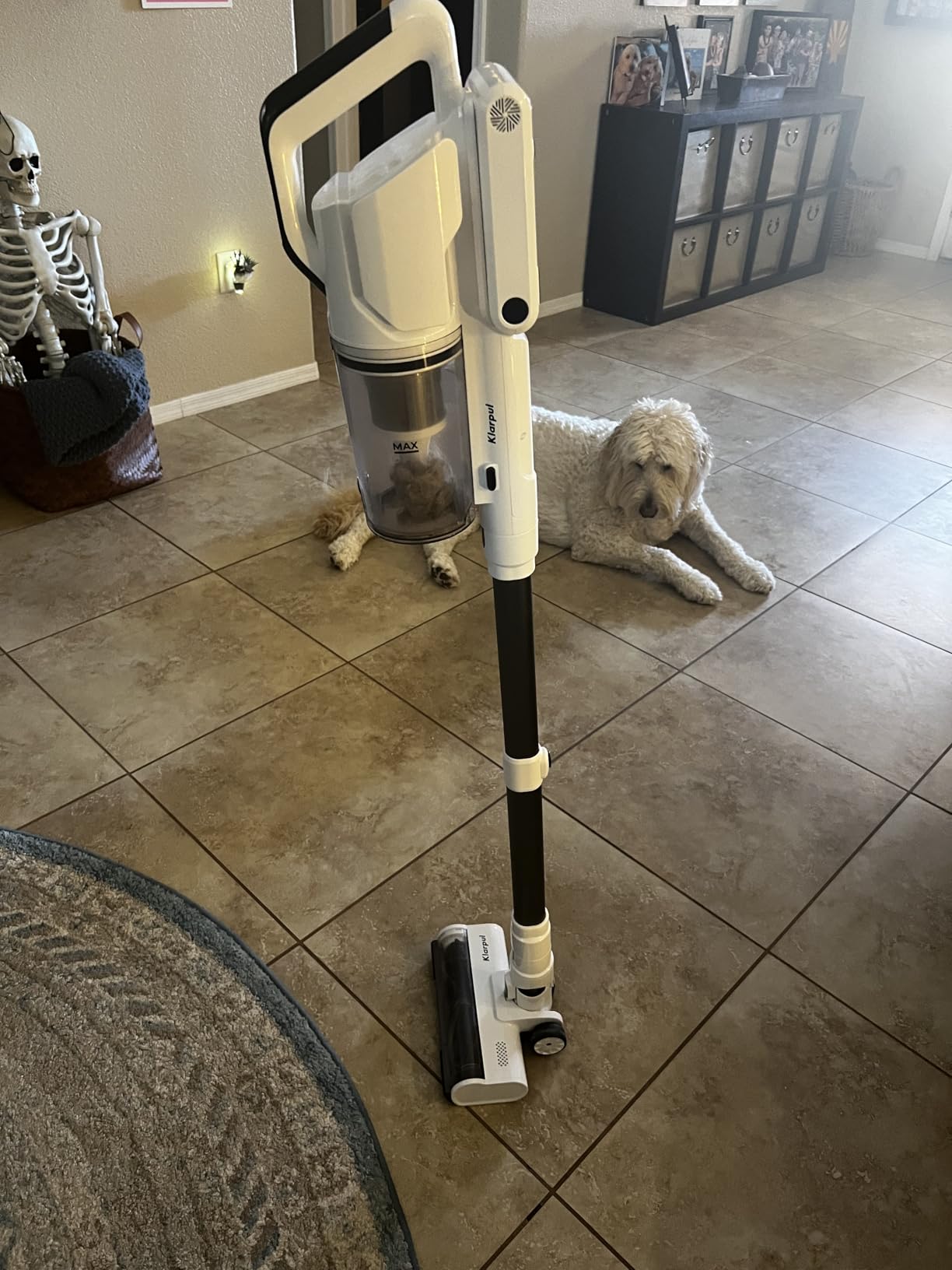 Cordless Vacuum Cleaner, 580W 48KPA 65Mins Runtime Fast Charging Vacuum Cleaner, Self-Standing LED Light Touch Screen Stick Vacuum for Home Light Weight,for Pet Hair/Carpet/Floor, White - Customer Photo 1
