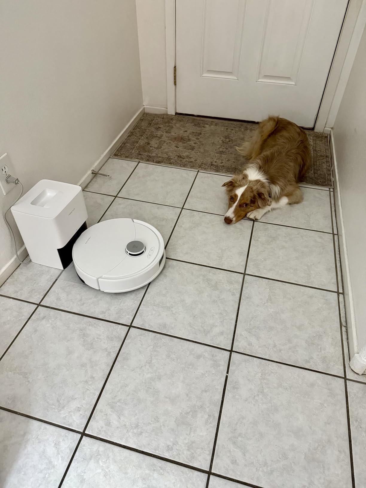 roborock Q10 X5+ Robot Vacuum and Mop, Self-Emptying, Hands-Free Cleaning for up to 7 Weeks, 10,000Pa Suction, Obstacle Avoidance, LiDAR Navigation, No-Go Zones, Black Customer Review roborock Q10 X5+ Robot Vacuum and Mop, Self-Emptying, Hands-Free Cleaning for up to 7 Weeks, 10,000Pa Suction, Obstacle Avoidance, LiDAR Navigation, No-Go Zones, Black - Customer Photo 1