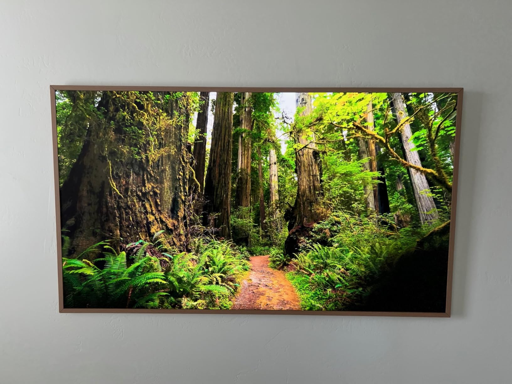 Samsung 55-Inch Class The Frame LS03F 4K QLED Smart TV (2025 Model) Customer Review Samsung 55-Inch Class The Frame LS03F 4K QLED Smart TV (2025 Model) - Customer Photo 1