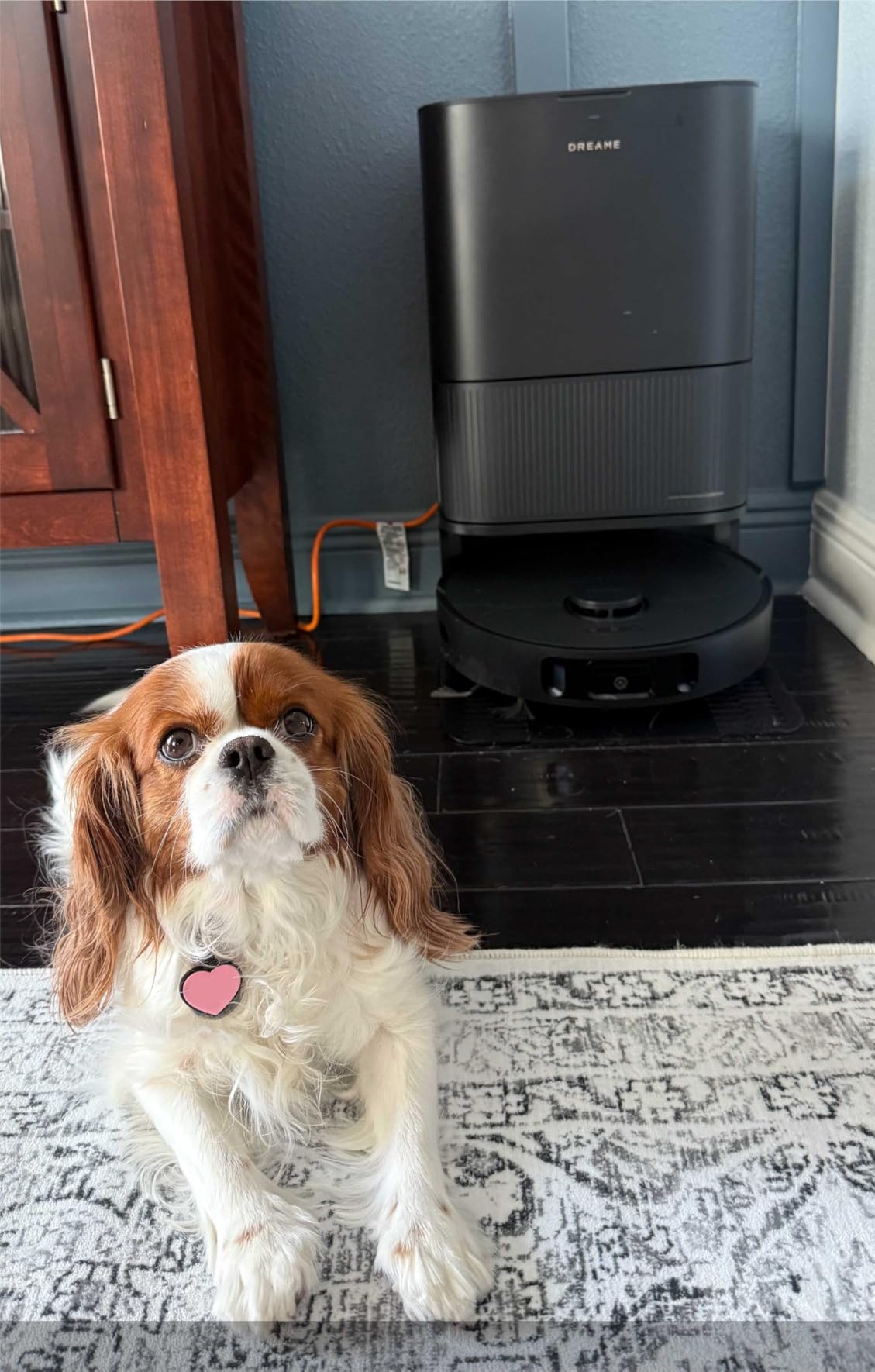 DREAME L40s Ultra CE Robot Vacuum and Mop Combo with Self-Emptying Dock, 13,000Pa Suction, Mop Self-Cleaning and Auto-Raising, Ultrasonic Carpet Sensing, Ideal for Pet Hair, Carpet and Hard Floors - Customer Photo 1