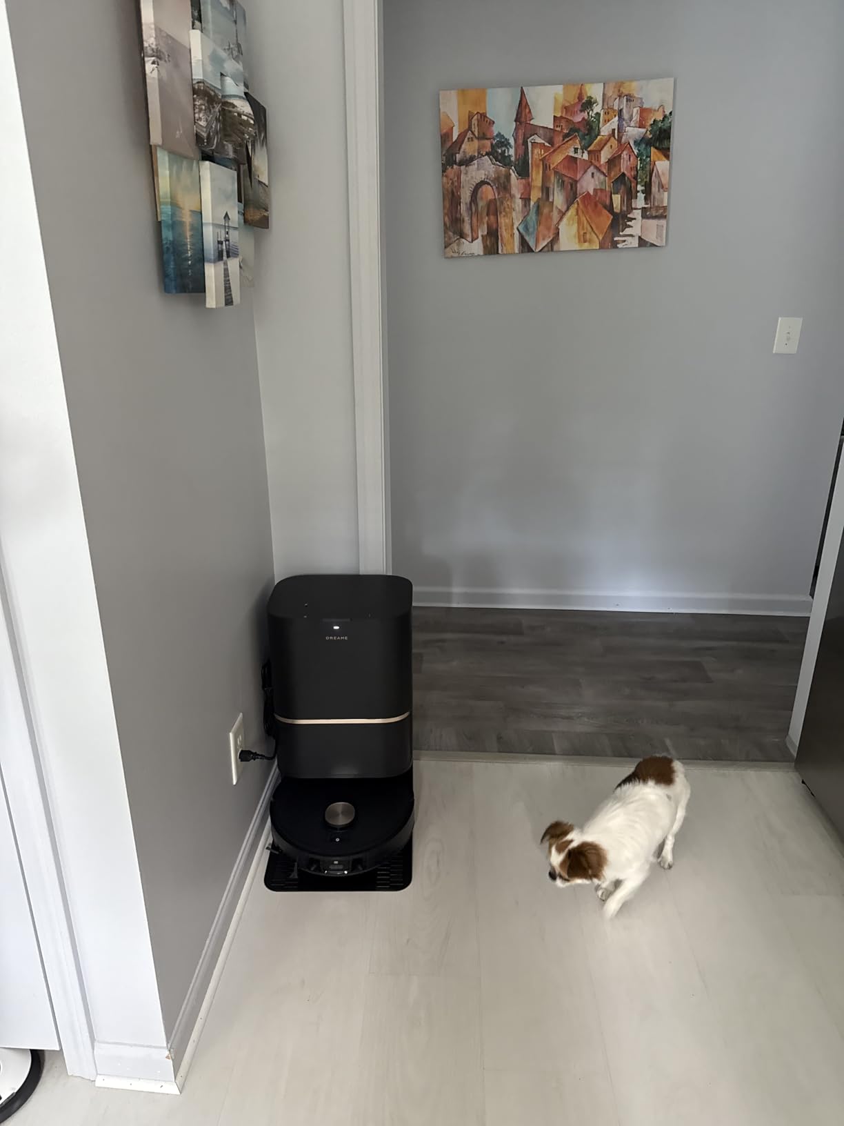 DREAME L50 Ultra Robot Vacuum and Mop White, 19,500Pa Suction, with Auto-Empty and Mop Self-Cleaning, Precise Obstacle Avoidance, HyperStream Detangling DuoBrush - Customer Photo 1