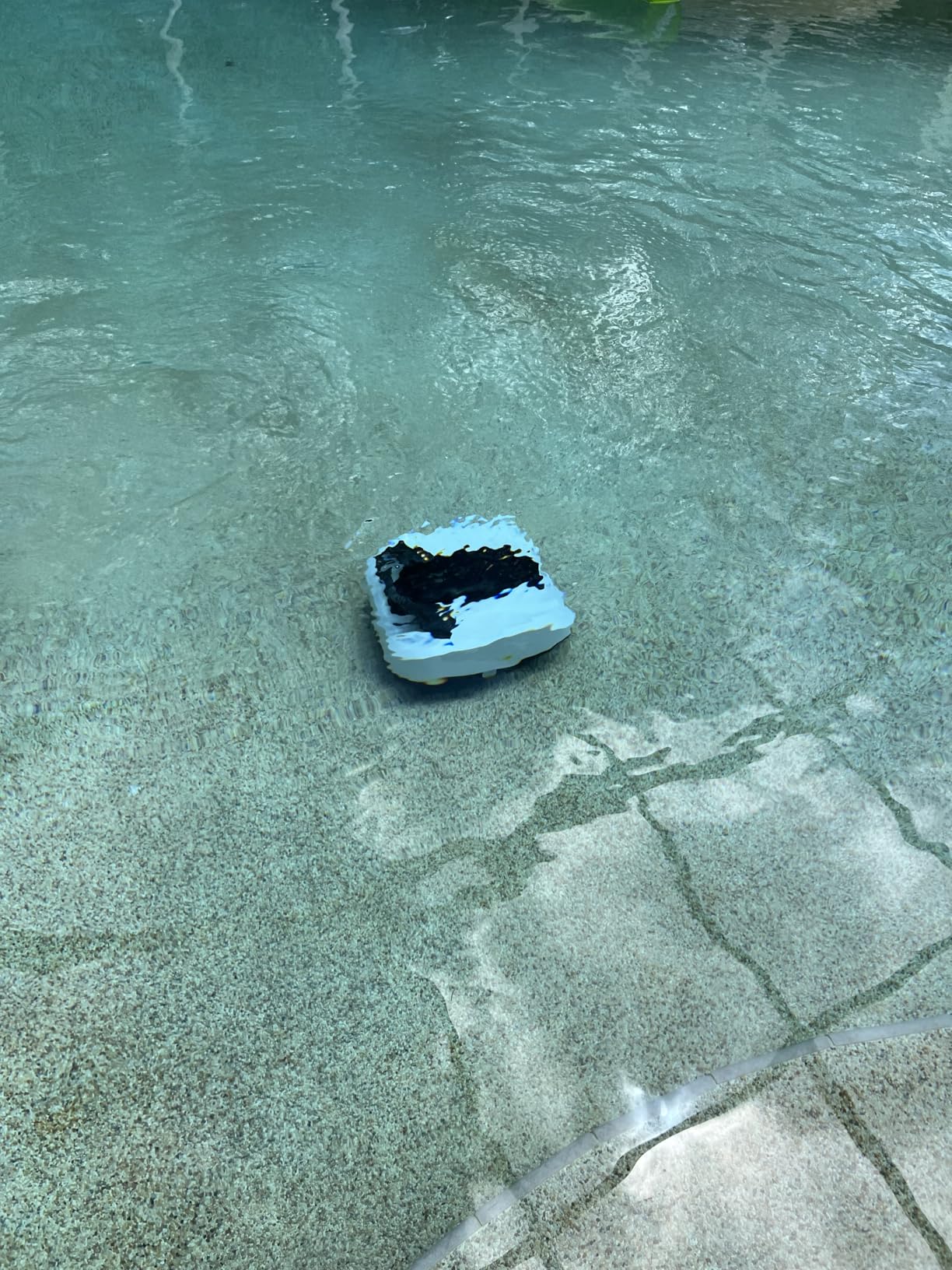 Cordless Robotic Pool Cleaner, Portable Swimming Robotic Pool Vacuum Self-Parking Technology,150Mins Runtime,Pool up to 900 Sq.Ft, Ideal for Above-Ground Pools Customer Review Cordless Robotic Pool Cleaner, Portable Swimming Robotic Pool Vacuum Self-Parking Technology,150Mins Runtime,Pool up to 900 Sq.Ft, Ideal for Above-Ground Pools - Customer Photo 1