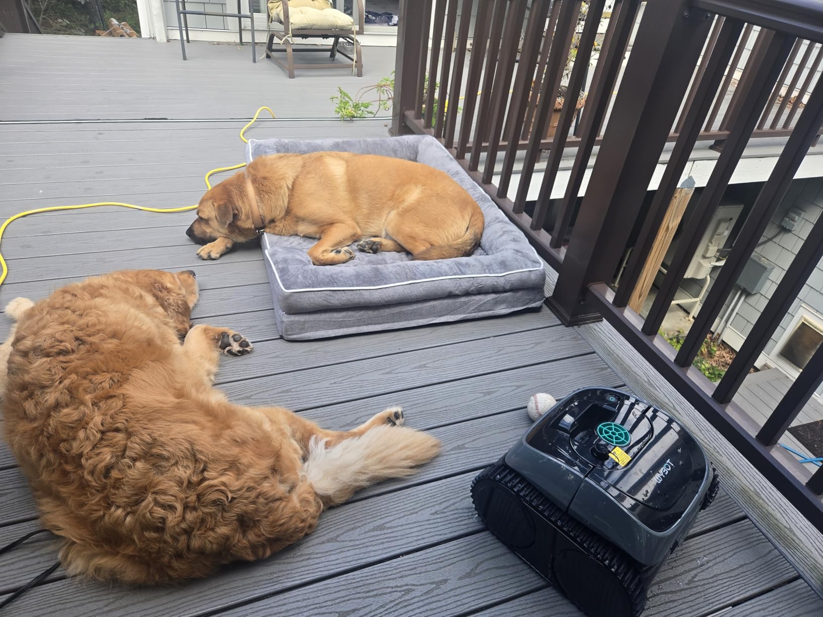 (2025 Upgrade) WYBOT C1 Robotic Pool Vacuum for Inground & Above Ground Pools, 150mins Cordless Pool Cleaner 4-in-1 Wall & Waterline Cleaning Up to 1,614sq.ft, Smart Navigation, App Support - Customer Photo 1